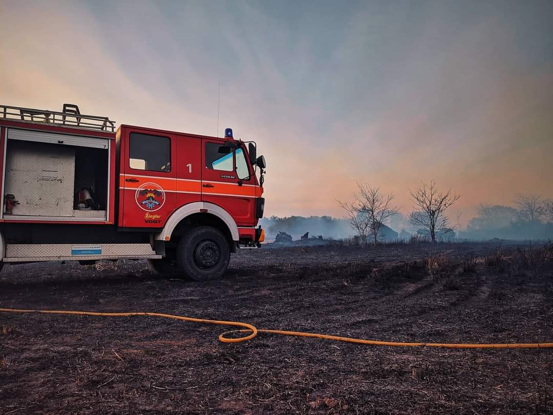 Arroyito: Bomberos trabajaron 5 horas en un incendio forestal.