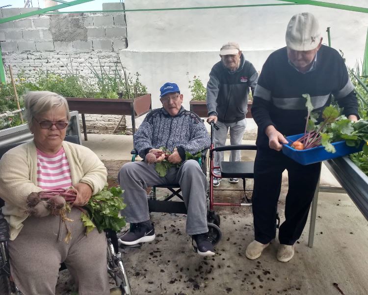 Arroyito: El hogar de ancianos cosecha sus propios alimentos