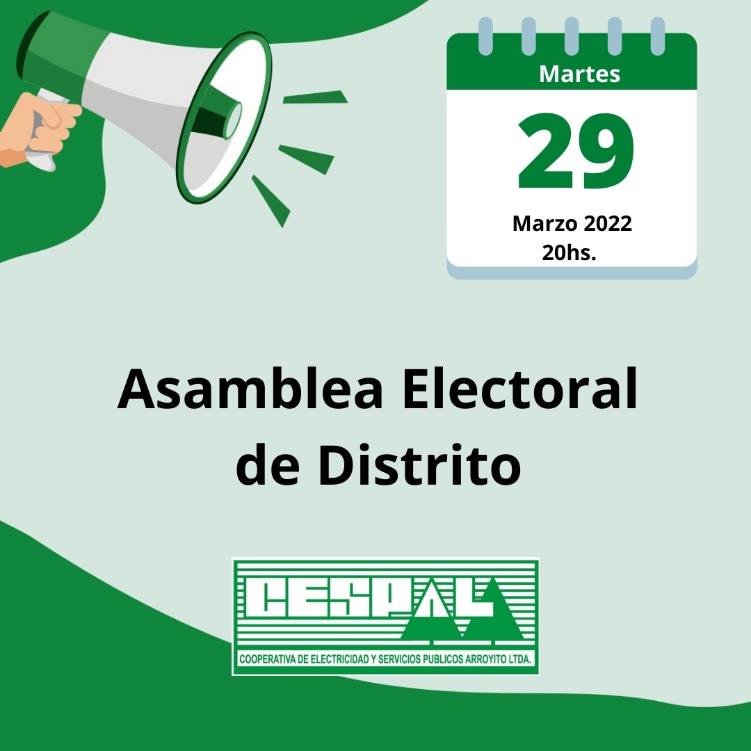 Asamblea electoral de distrito