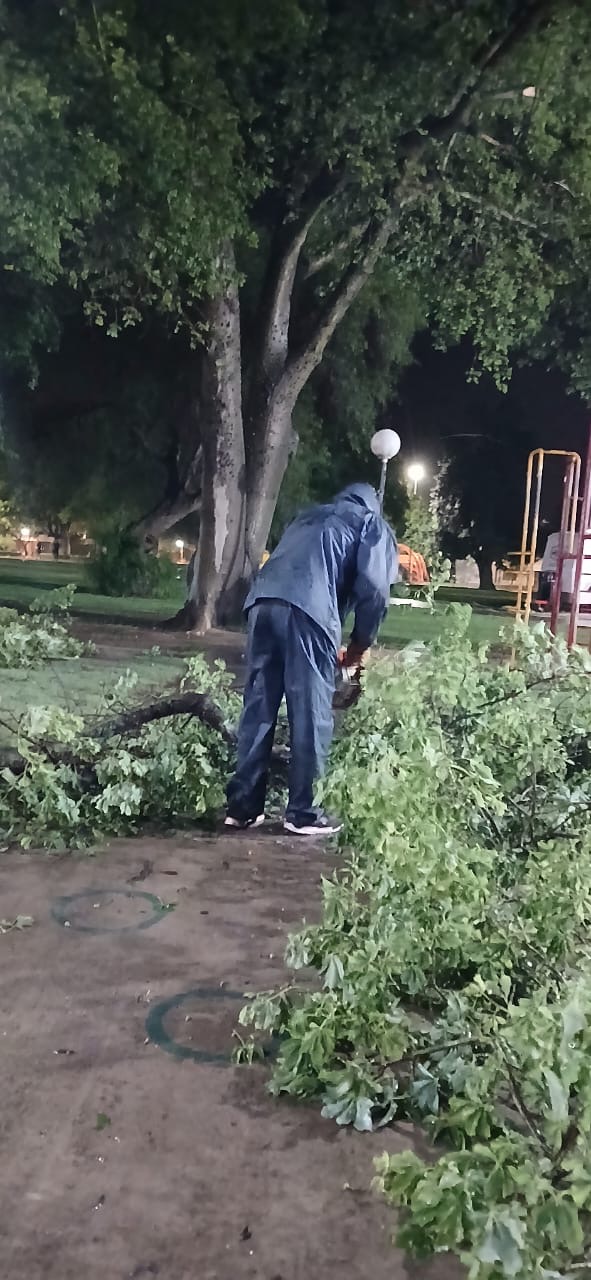 Arroyito cerró el año con un temporal que dejó árboles caídos y cortes de luz